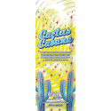 Devoted Creations Cactus Cabana Packet