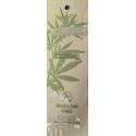 Hemp Nation Vanilla Pineapple Body Wash Packet Hemp Nation Vanilla Pineapple Body Wash Packet