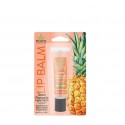Hempz Sweet Pineapple & Honey Melon Herbal Lip Balm